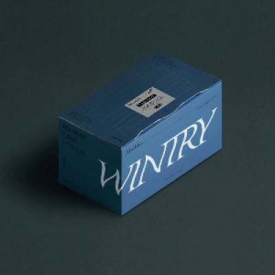 WINTRY - 4 PLY DISPOSABLE MASK [30 PCS]